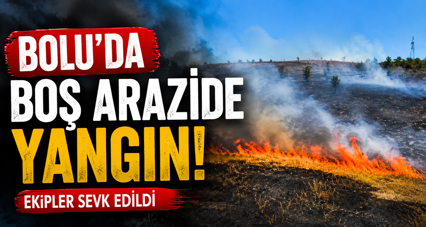 Bolu’da boş arazide yangın