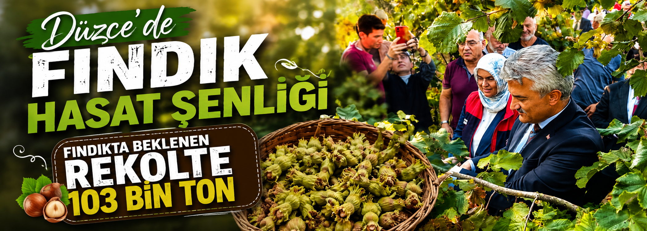 Düzce’de fındık hasat şenliği