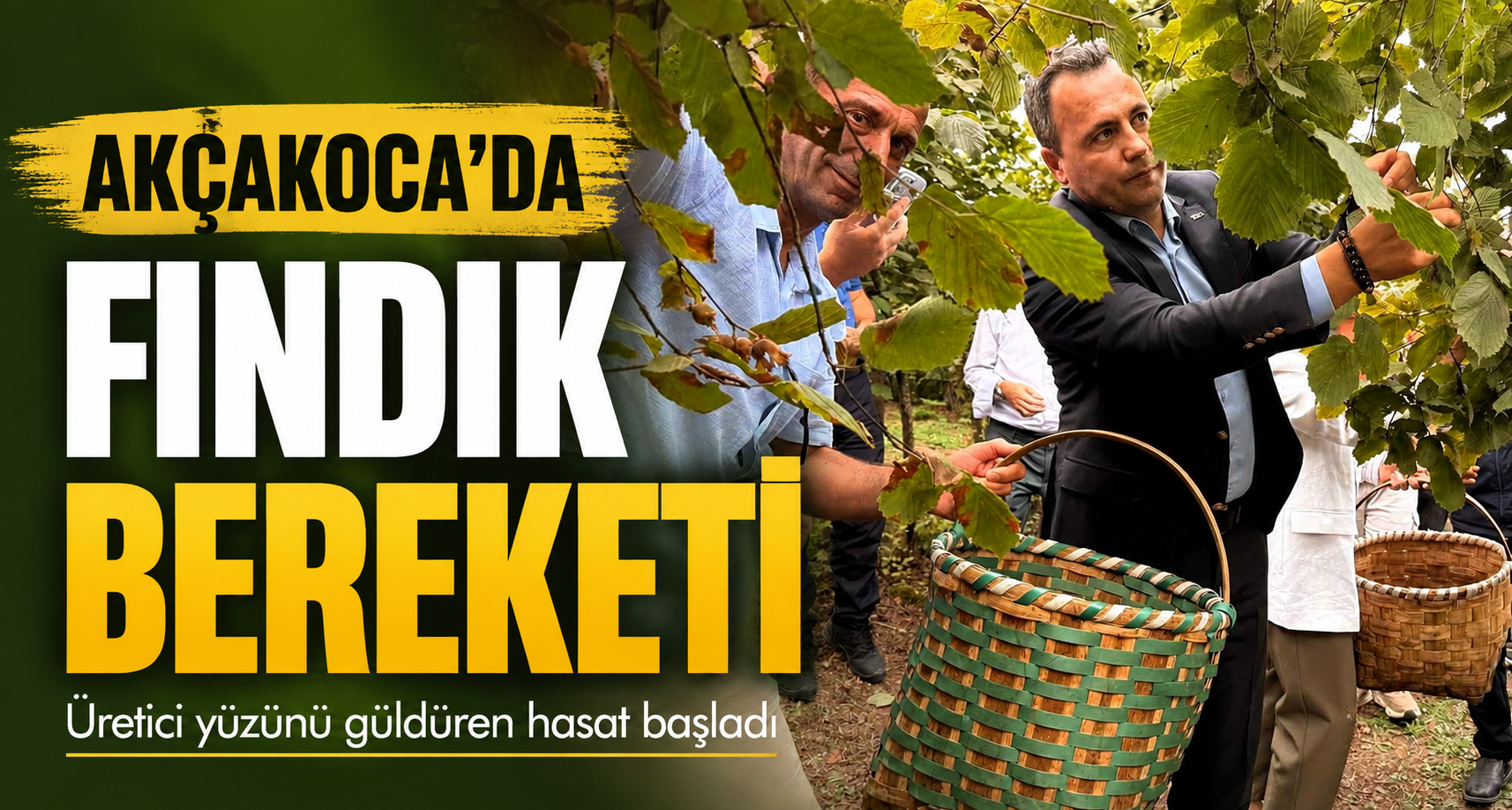 Akçakoca’da fındık bereketi