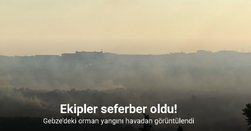 Kocaeli'deki orman yangını kontrol altına alındı