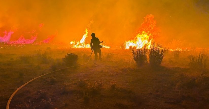 ABD'nin Nevada eyaletindeki orman yangınında 42 bin kişiye tahliye emri verildi