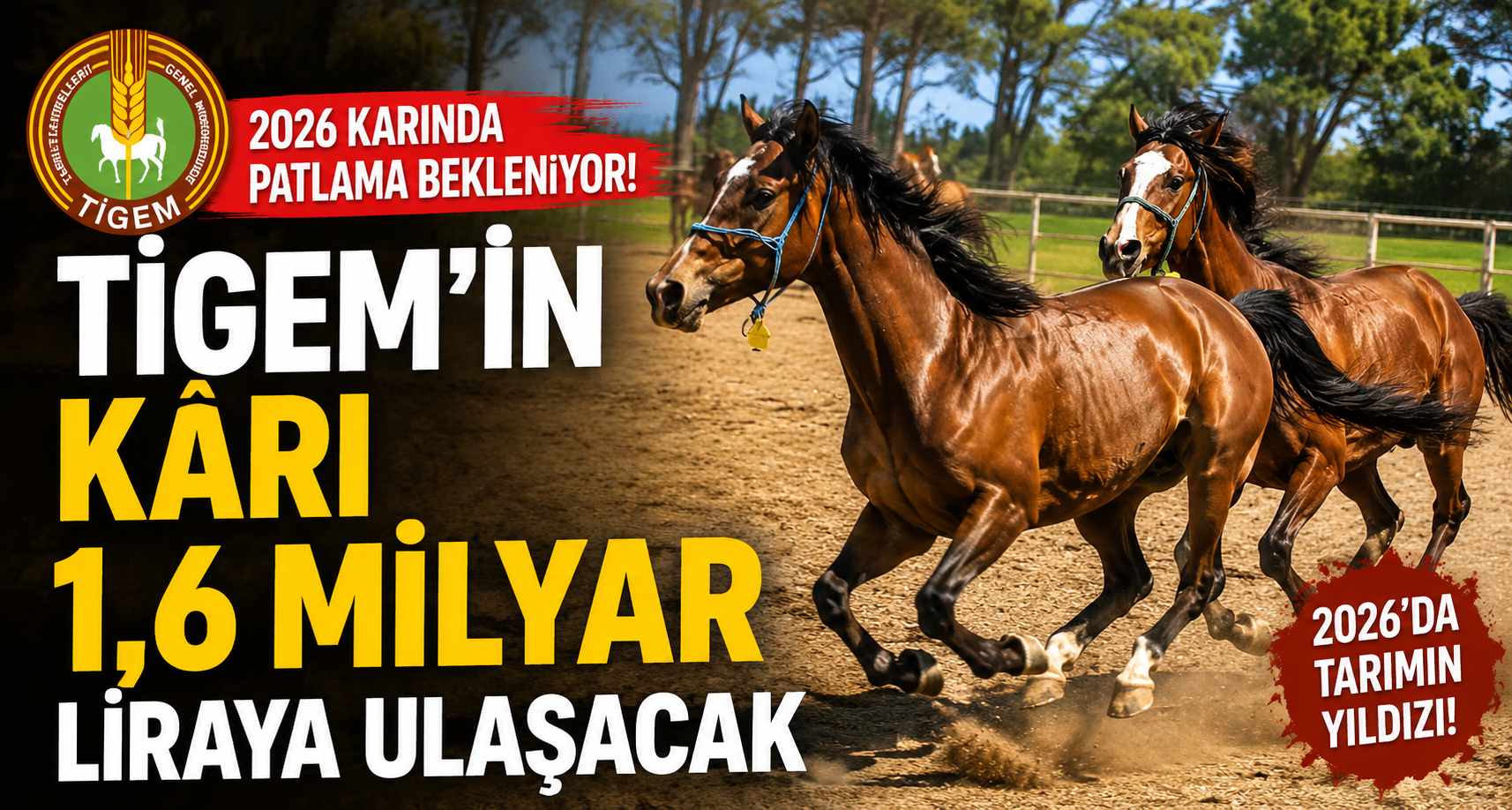 TİGEM’in 2026 karında patlama bekleniyor: 1,6 milyar liraya ulaşması tahmin ediliyor