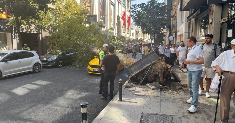Şişli’de çınar ağacı devrildi; yol trafiğe kapandı
