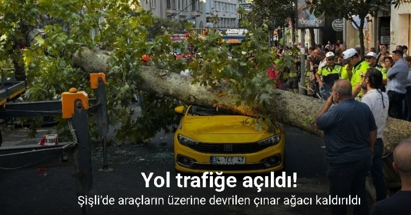 Şişli’de araçların üzerine devrilen çınar ağacı kaldırıldı