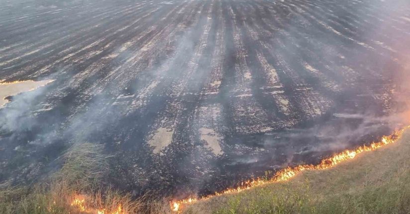 Kastamonu’da çıkan örtü yangınında 400 dönüm alan zarar gördü