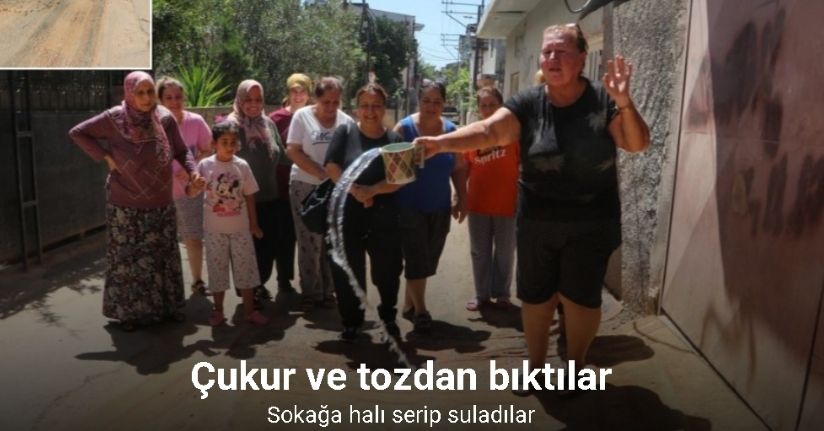 Çukur ve tozdan bıktılar, sokağa halı serip suladılar