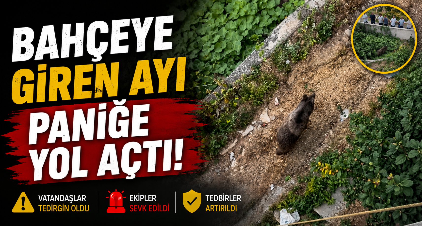 Bahçeye giren ayı paniğe yol açtı