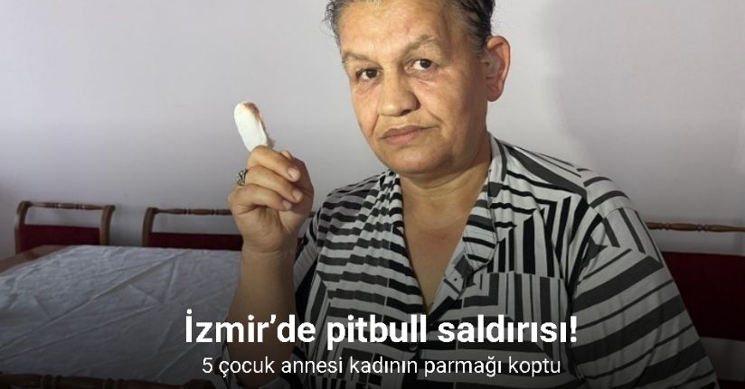 İzmir’de pitbull saldırısı: 5 çocuk annesi kadının parmağı koptu