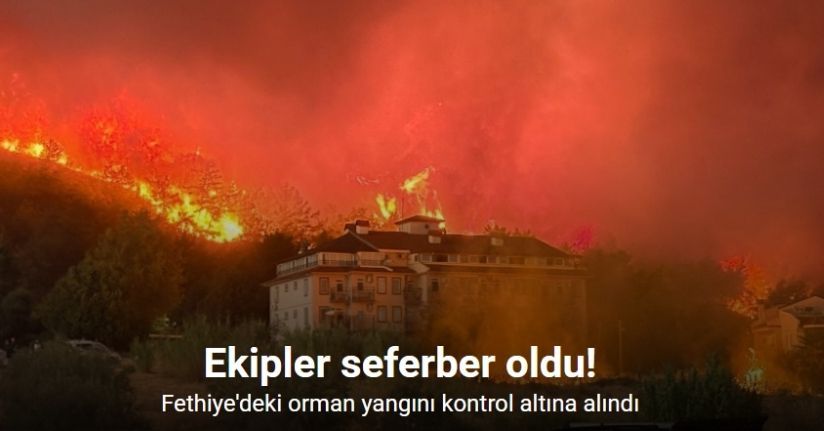 Fethiye'deki orman yangını kontrol altına alındı