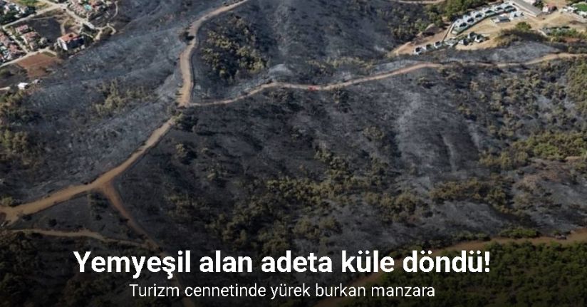 Fethiye’nin akciğerleri yandı