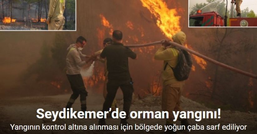 Seydikemer’de orman yangını!