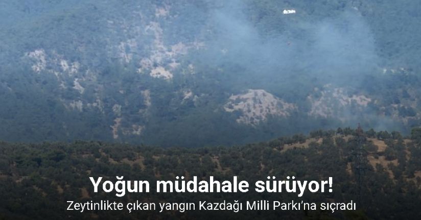 Zeytinlikte çıkan yangın Kazdağı Milli Parkı’na sıçradı