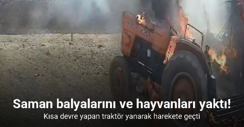 Kısa devre yapan traktör yanarak harekete geçti, saman balyalarını ve hayvanları yaktı