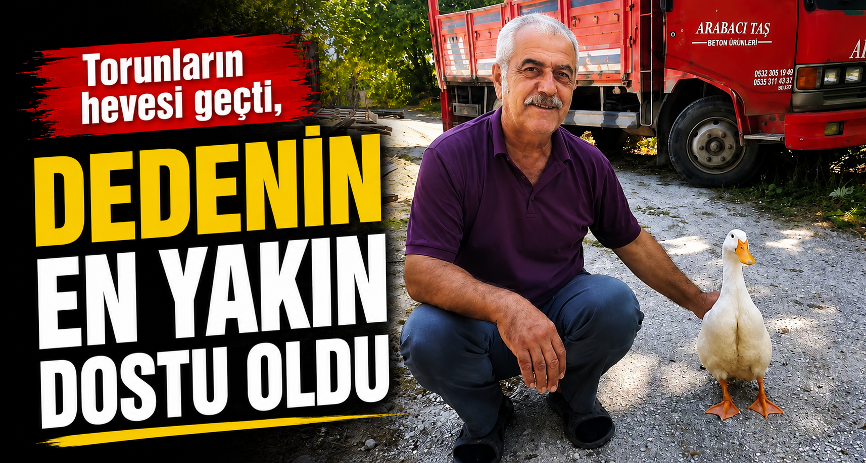 Torunların hevesi geçti, dedenin en yakın dostu oldu