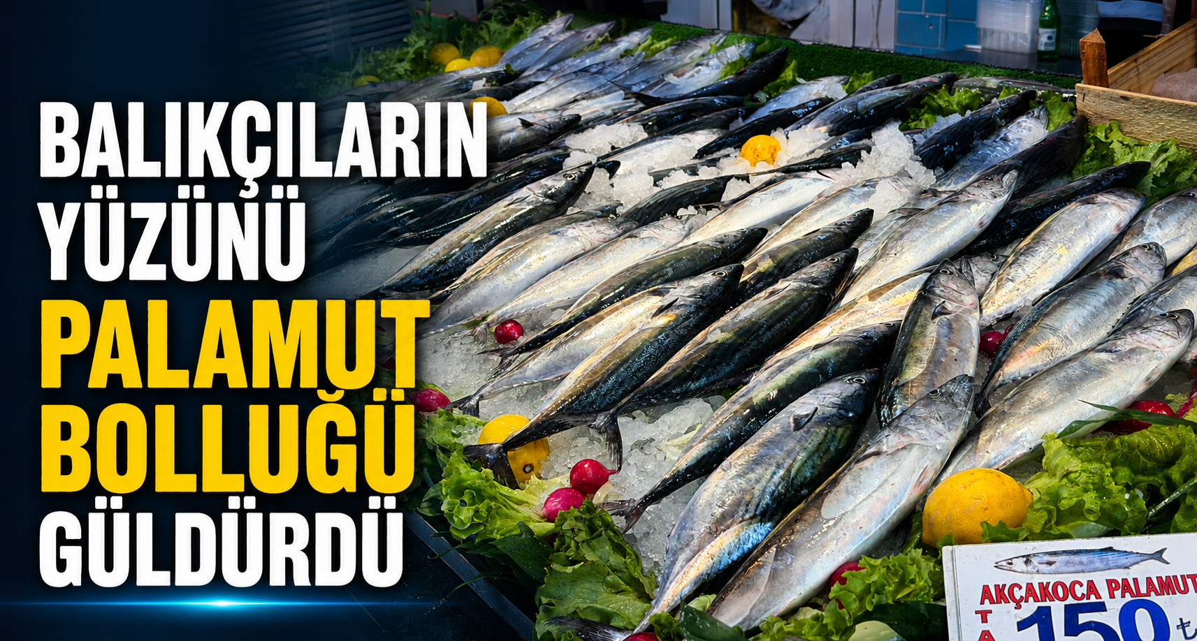 Balıkçıların yüzünü palamut bolluğu güldürdü