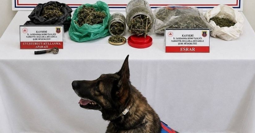 Jandarma operasyonunda bin 200 gram uyuşturucu ele geçirildi
