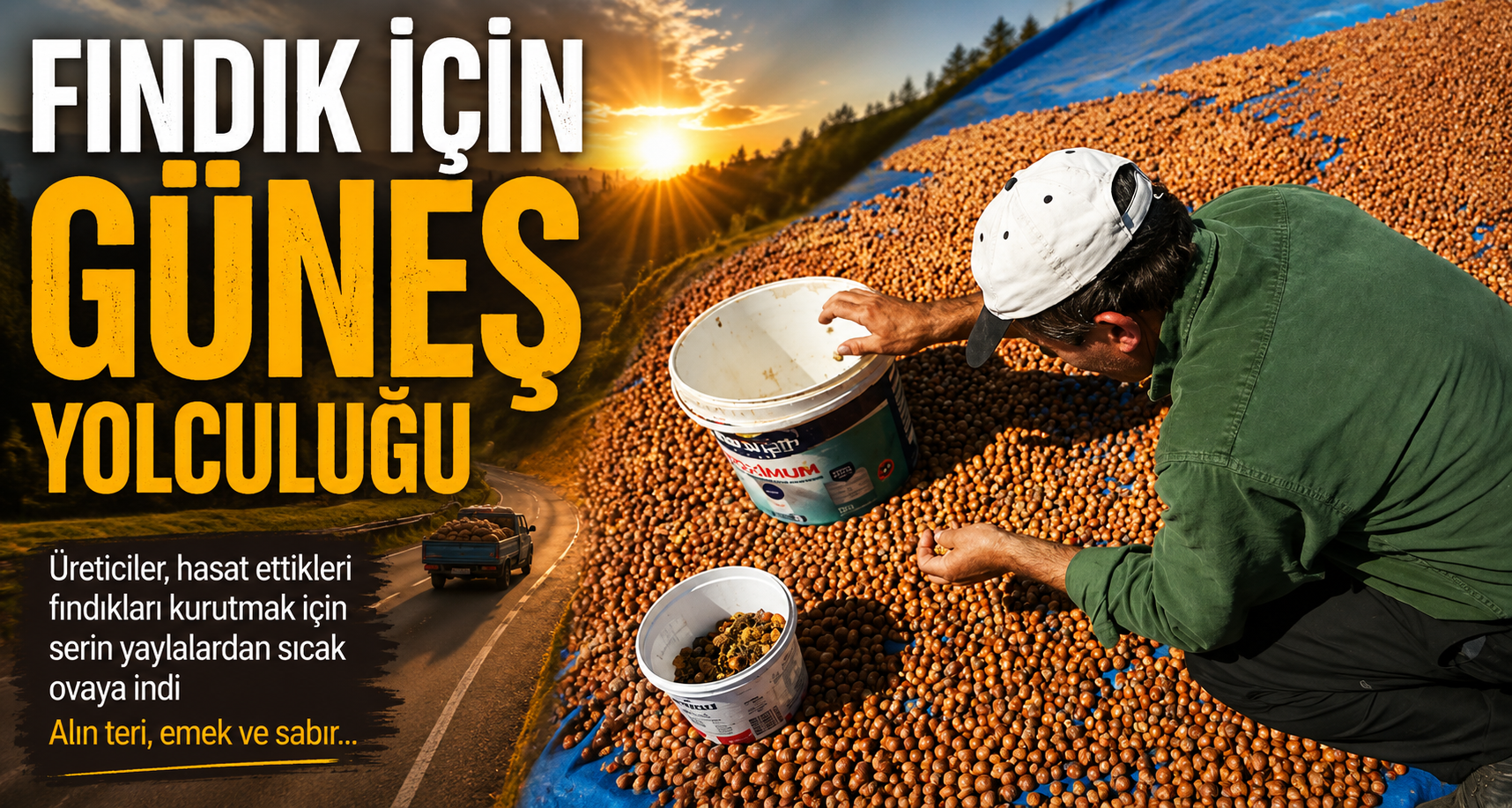 Fındık için güneş yolculuğu