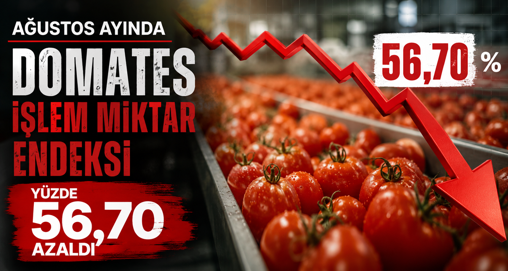 Ağustos ayında domates işlem miktar endeksi yüzde 56,70 azaldı