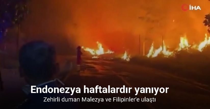 Endonezya haftalardır yanıyor: Zehirli duman Malezya ve Filipinler'e ulaştı