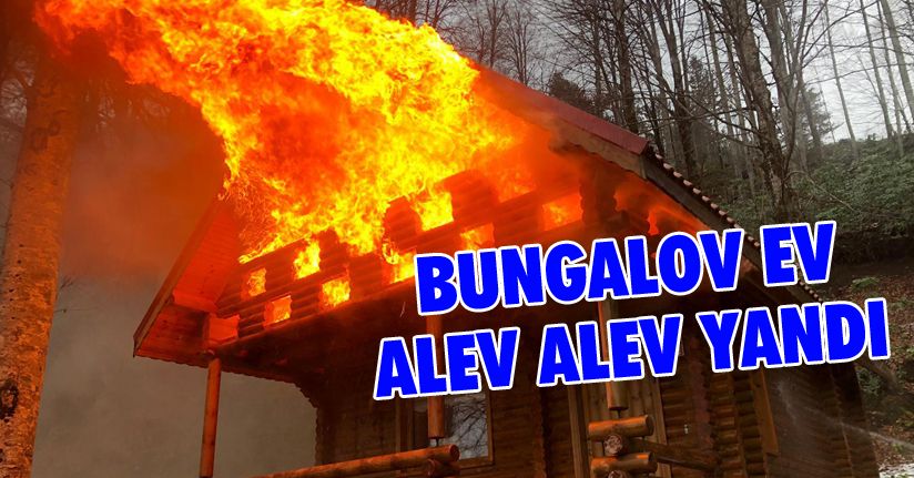 Bungalov Ev Alev Aldı