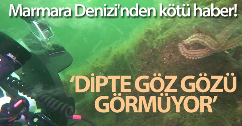 Marmara Denizi'nden kötü haber! Dipte göz gözü görmüyor