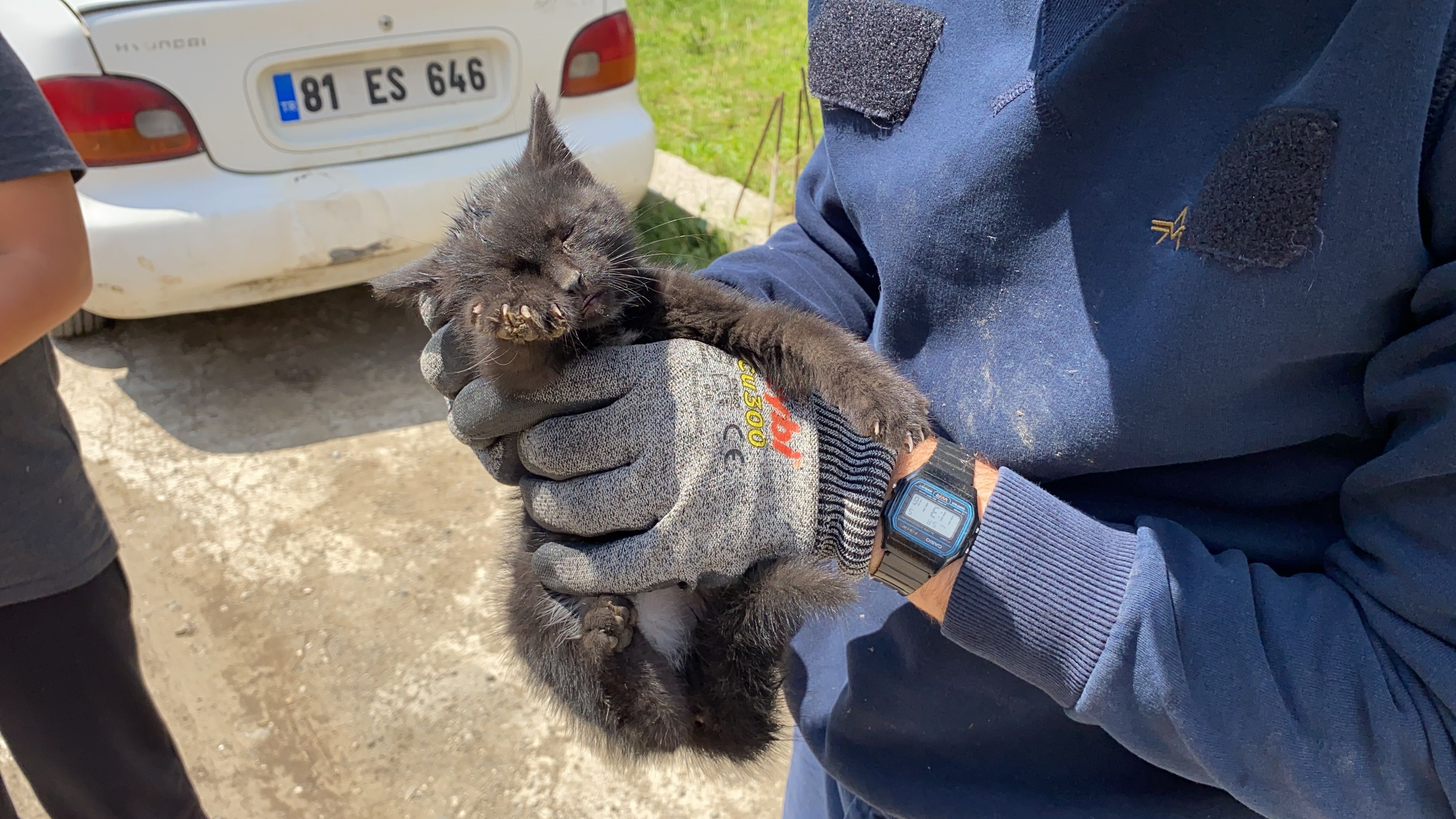Yaramaz yavru kedi, itfaiye ekiplerini uğraştırdı Düzce,Asayiş